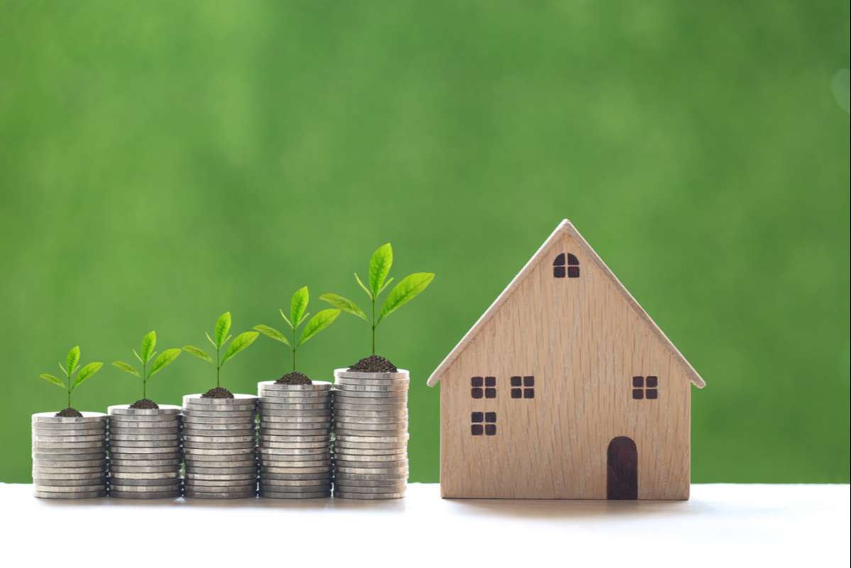 Finance, Plant growing on stack of coins (R) (S)
