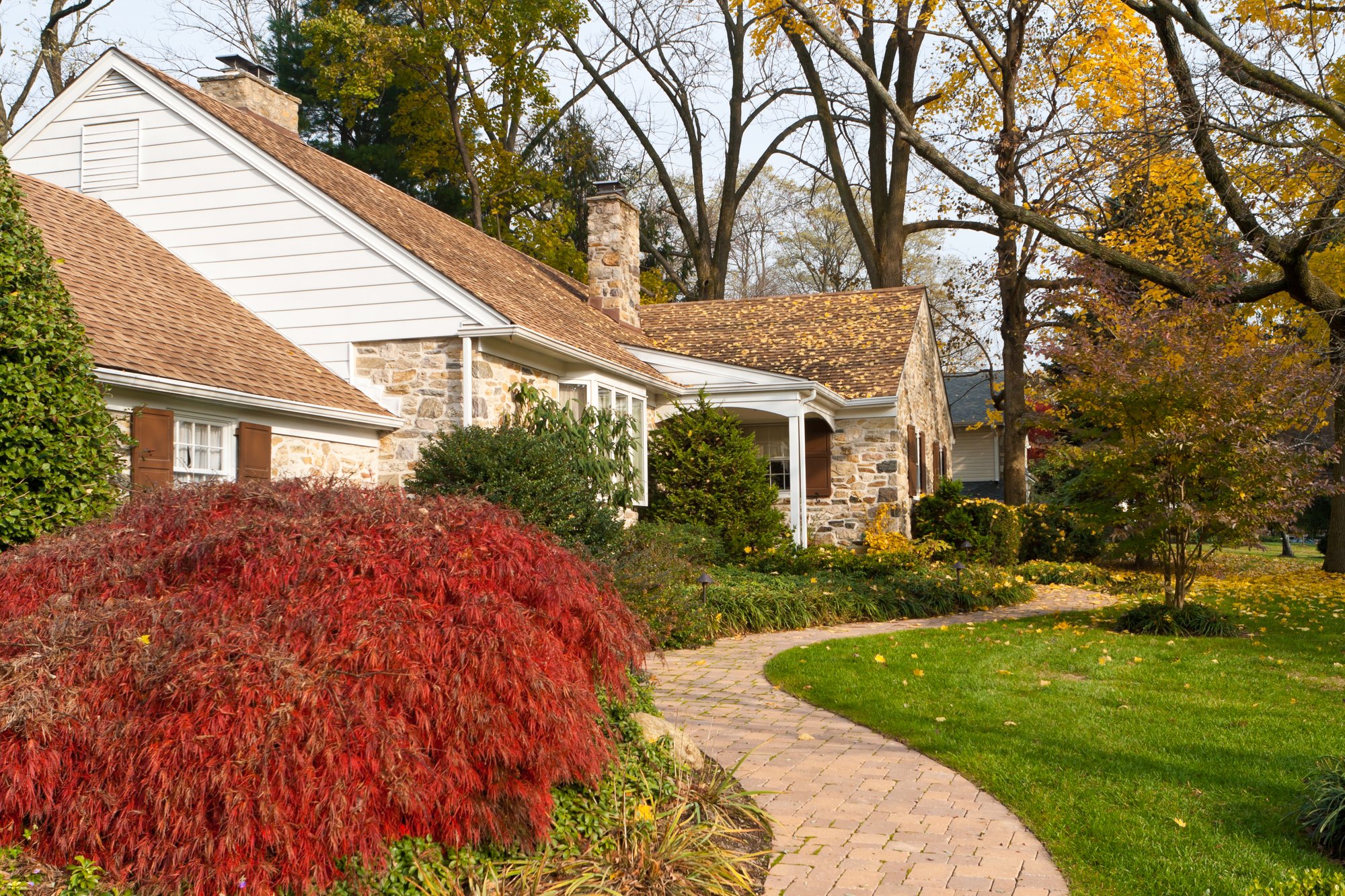 House Philadelphia Yellow Fall Autumn Leaves Tree