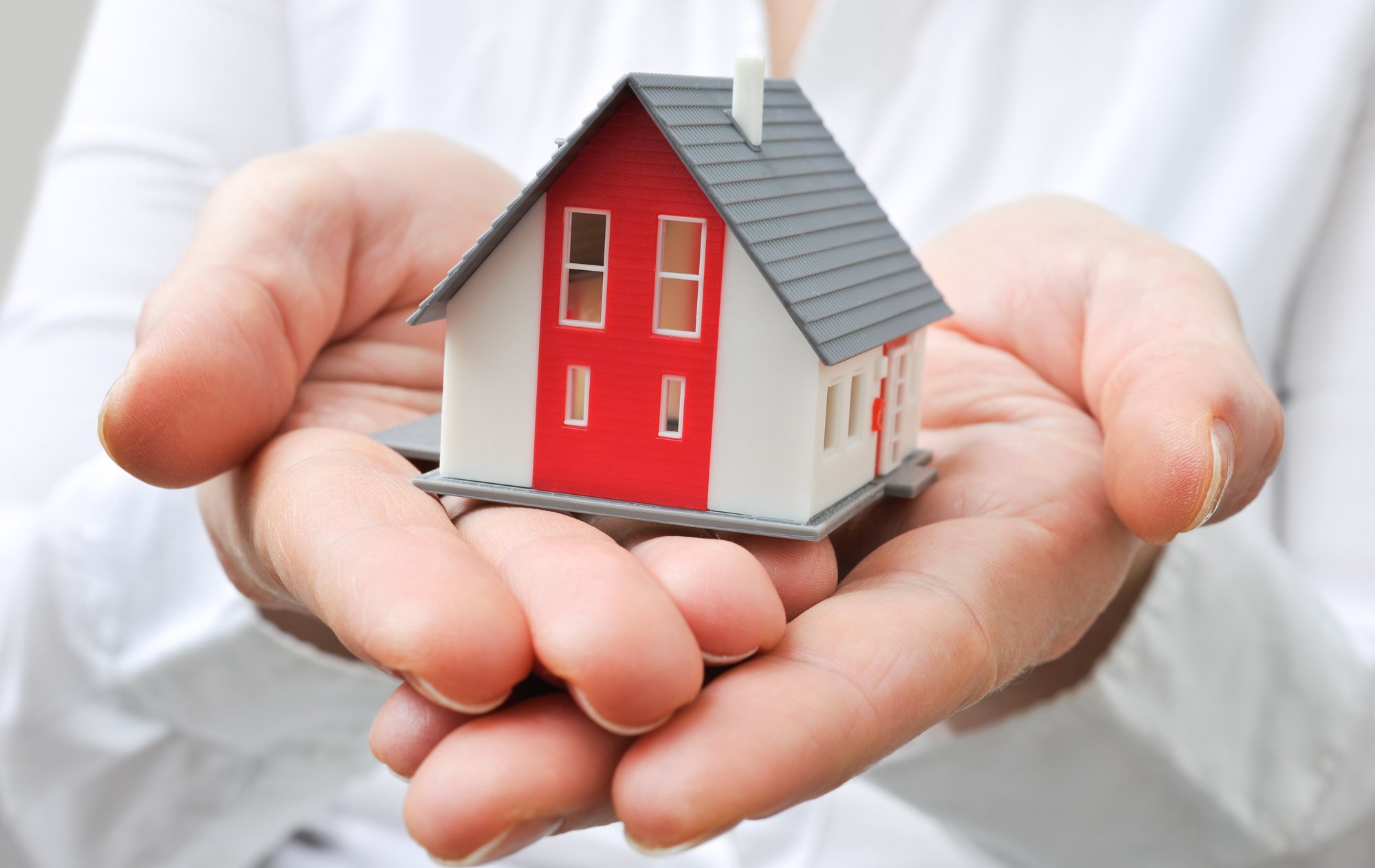 House in human hands