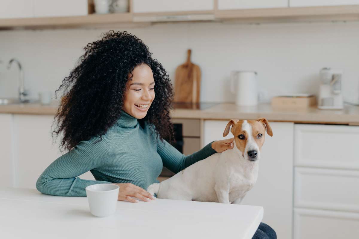 Playful woman with Afro haircut, pets her breed dog, have fun together, pose in cozy kitchen, drink coffee, laugh happily (R) (S)