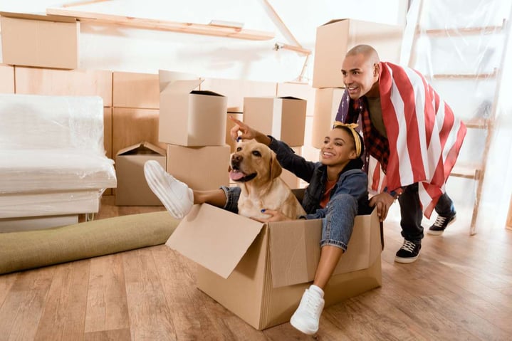 African american couple having fun with dog in new apartment