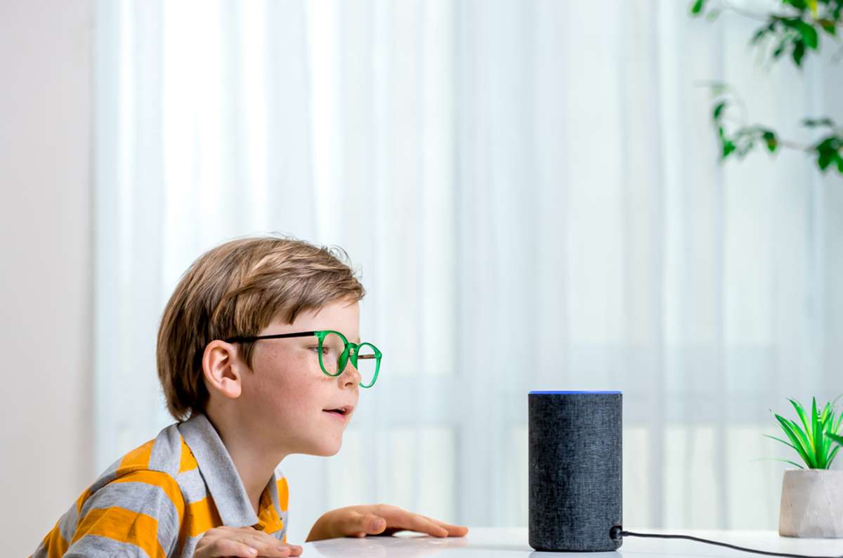 Voice controlled smart speaker